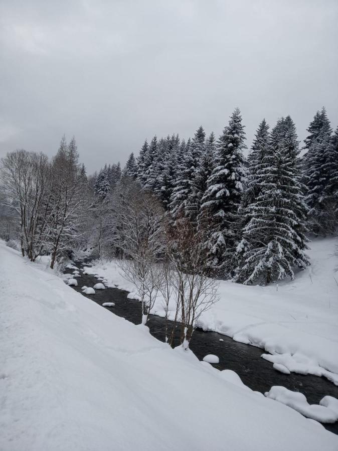 Agroturystyka Oblica Zawoja Extérieur photo
